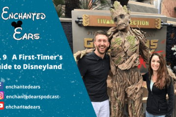 First Timers Guide Disneyland